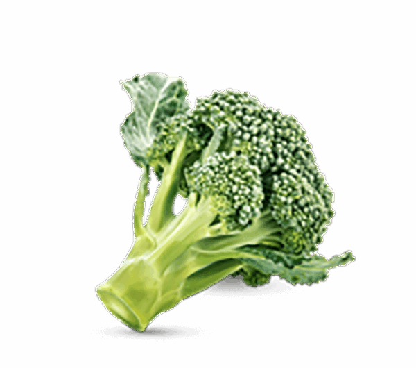 h3-product11 h3-product11