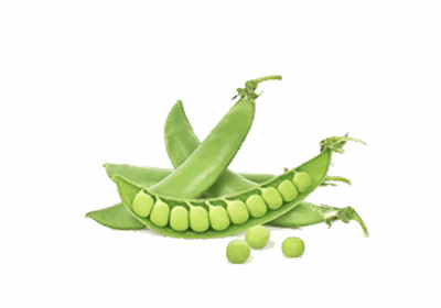 h3-product7 h3-product7