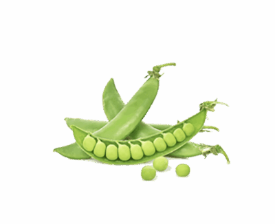 h3-product7 h3-product7