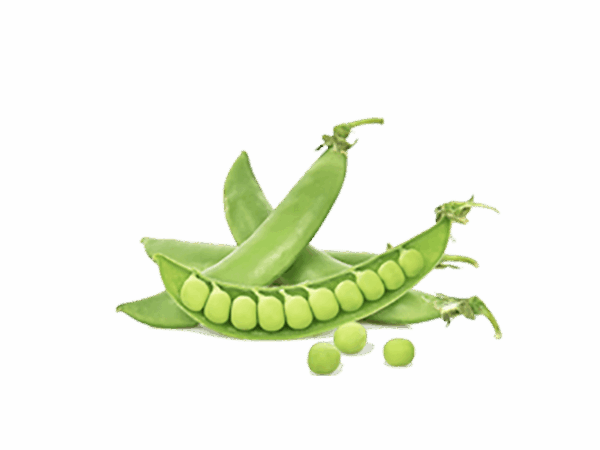 h3-product7 h3-product7