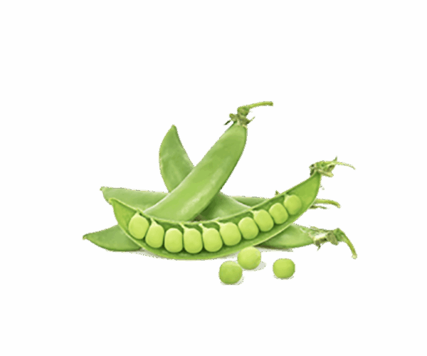 h3-product7 h3-product7