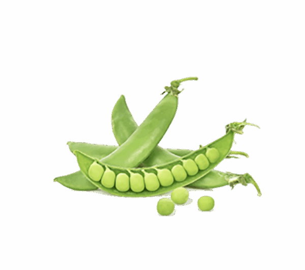 h3-product7 h3-product7